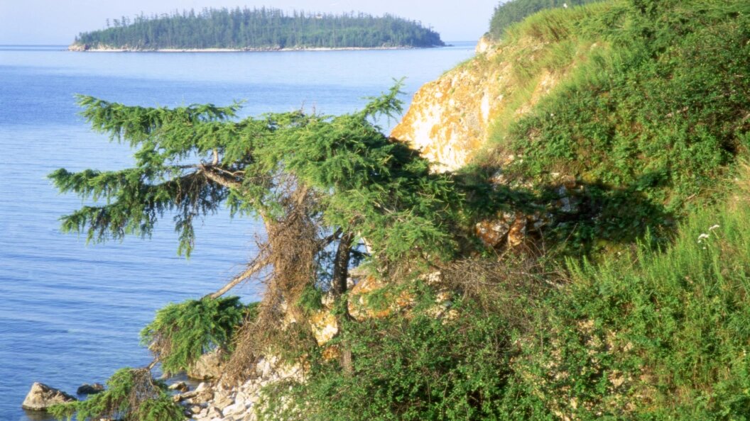    Фото: Konstantin Mikhailov/Globallookpress