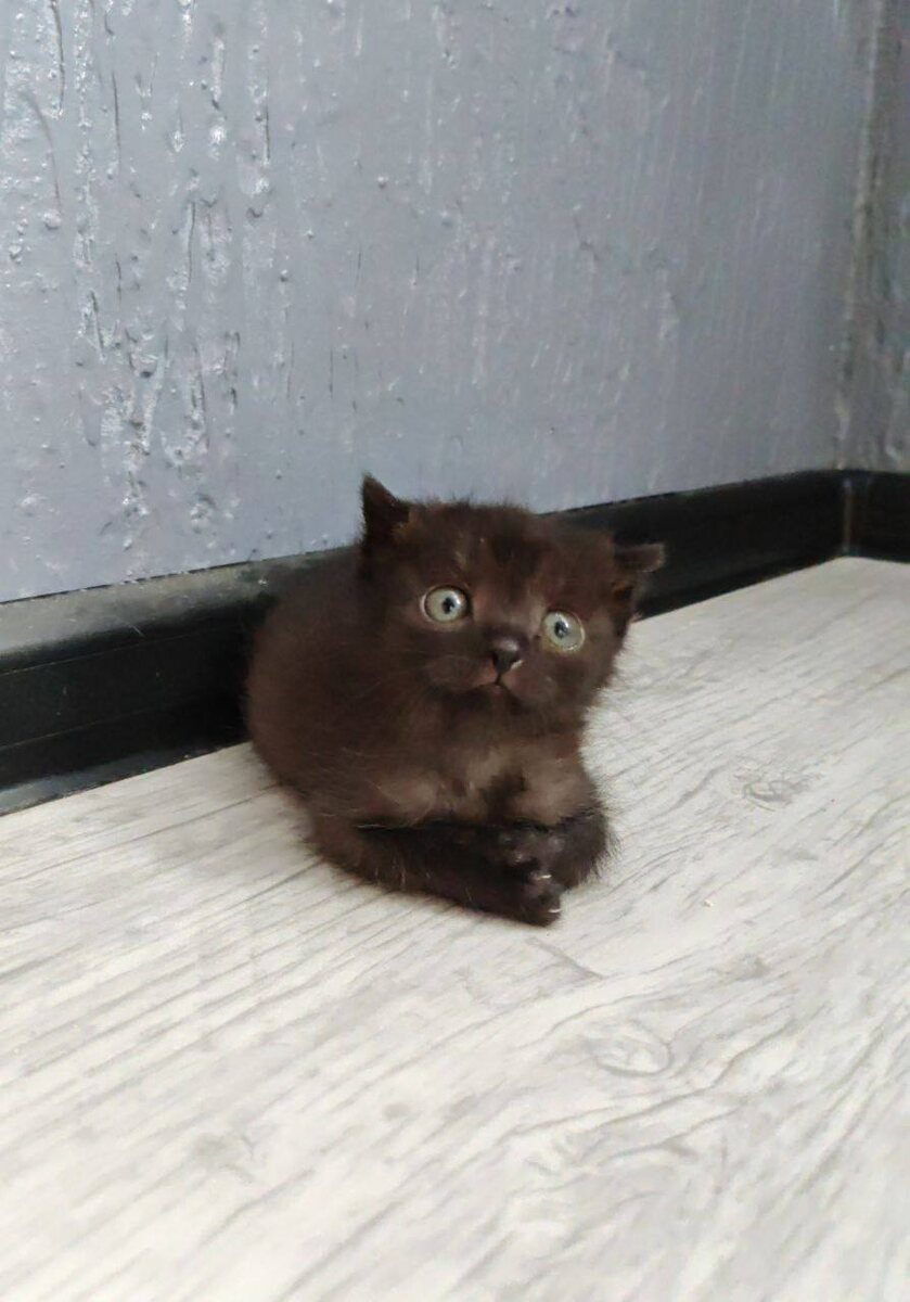 Дюймовочка -> листаем -> Макконахи ))) Фото из архива автора