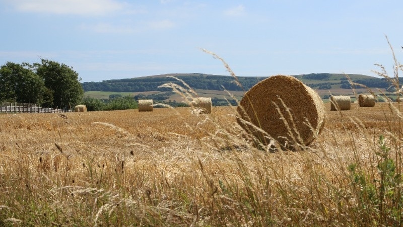      Фото: @EyeEm / freepik.com