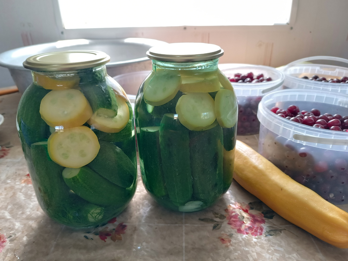 Во всех деревнях страны - сезон заготовок огурцов. Когда их мало, суйте нарезанные кабачки, не ошибётесь. Кстати, сорт "Желтоплодный" мне кажется слаще и нежнее всех других.