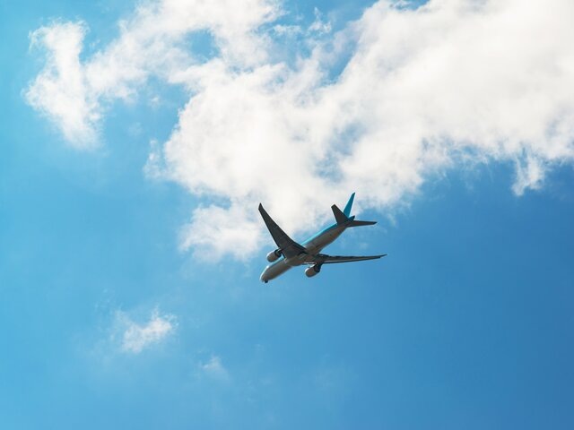    Фото: 123RF/olgavolodina