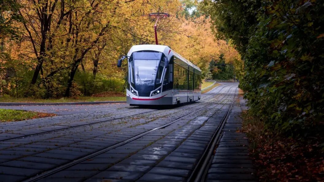    Фото: Царьград