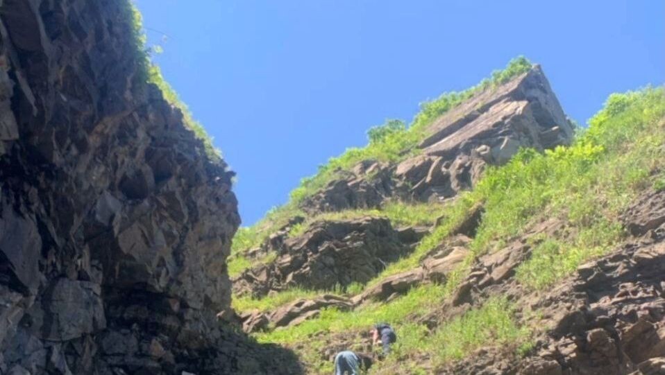     Источник: dpsvl