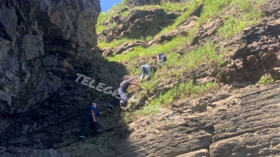     Источник: dpsvl