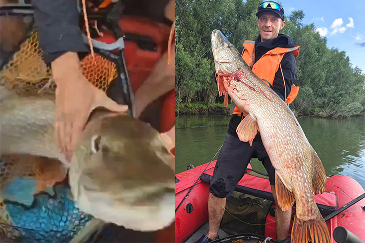    Фото Дениса Викторовича