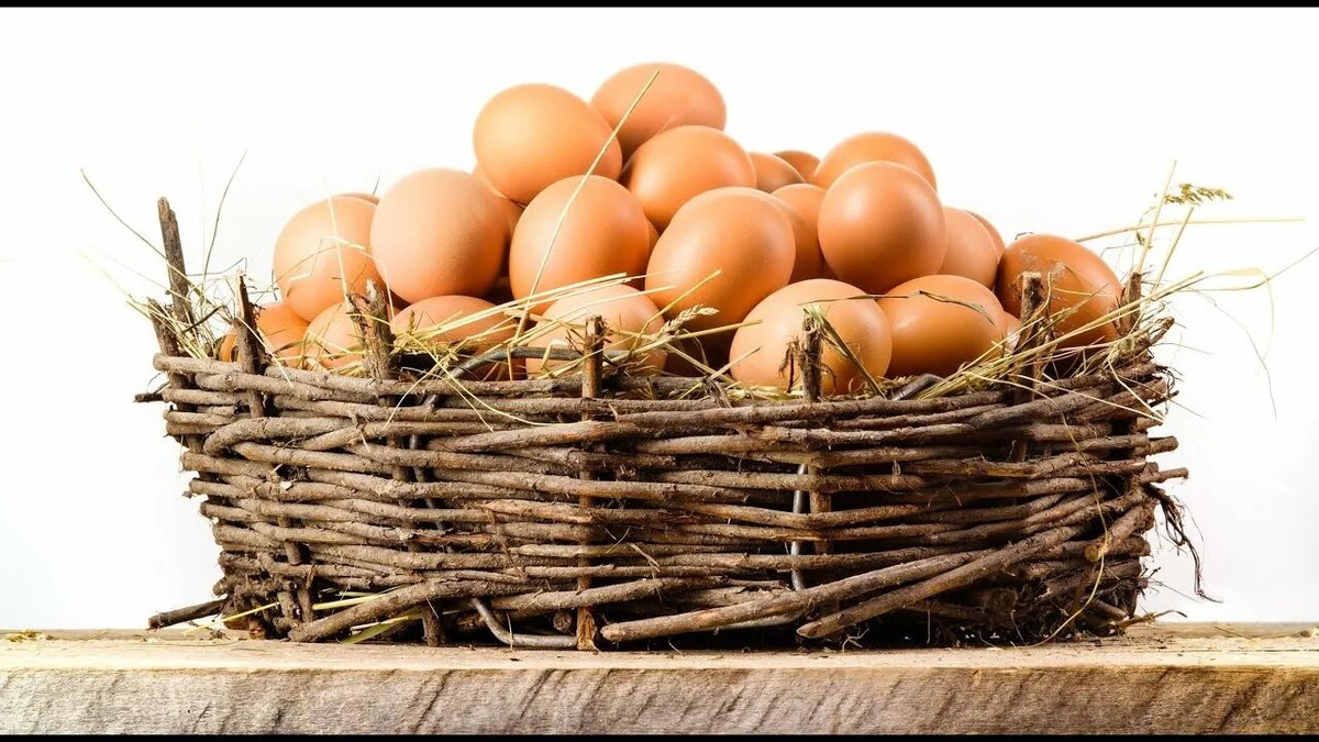 Источник: https://avatars.mds.yandex.net/i?id=6da9a8c54ad91b63d4056a45a7adff92_l-7094423-images-thumbs&n=13