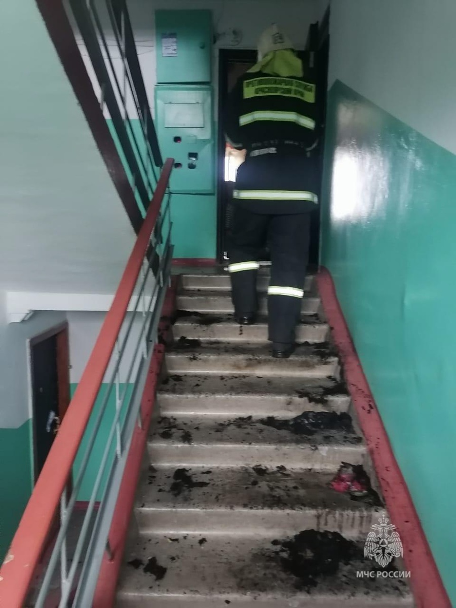    Фото: МЧС Красноярского края