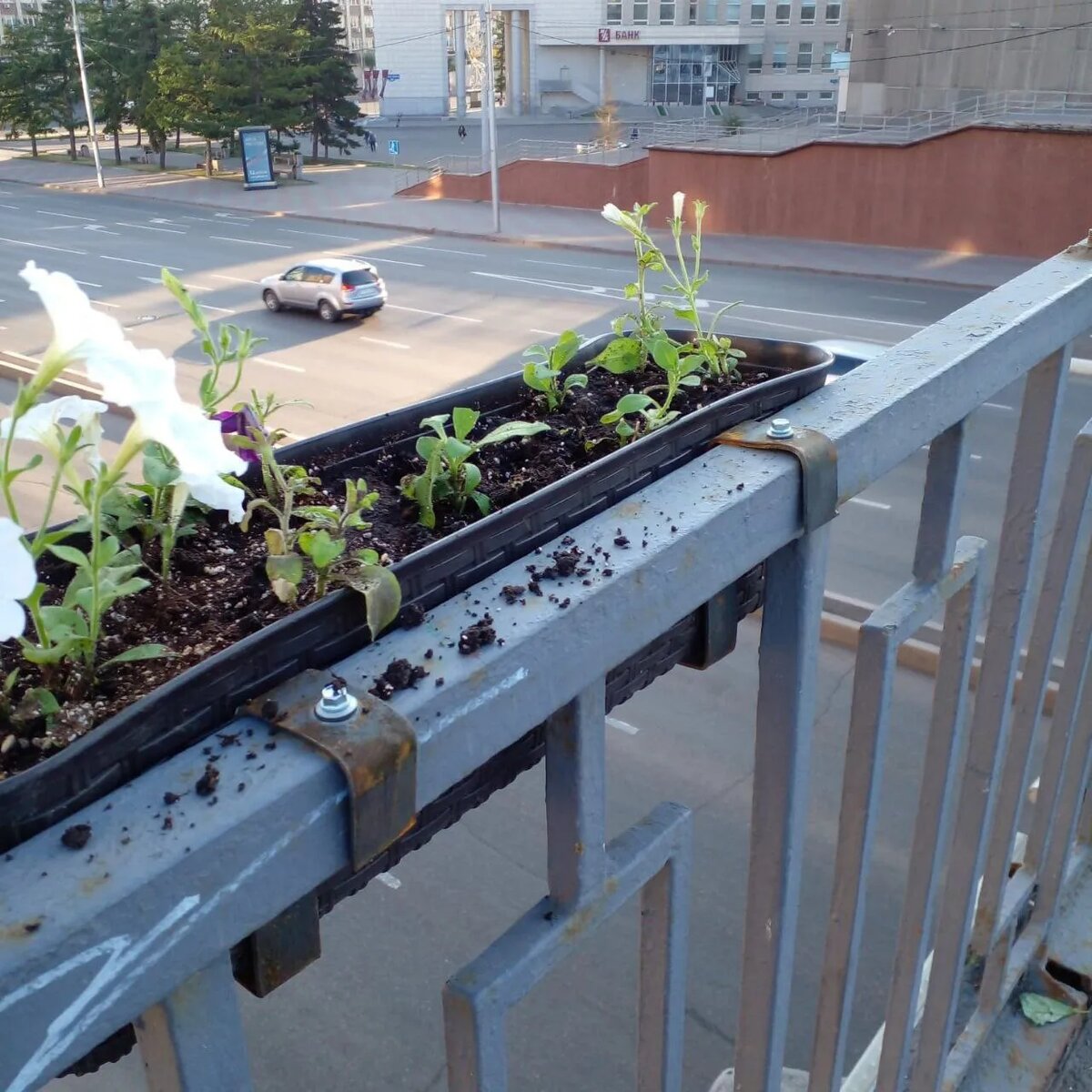    Фото: Telegram-канал «Мэрия Красноярска»