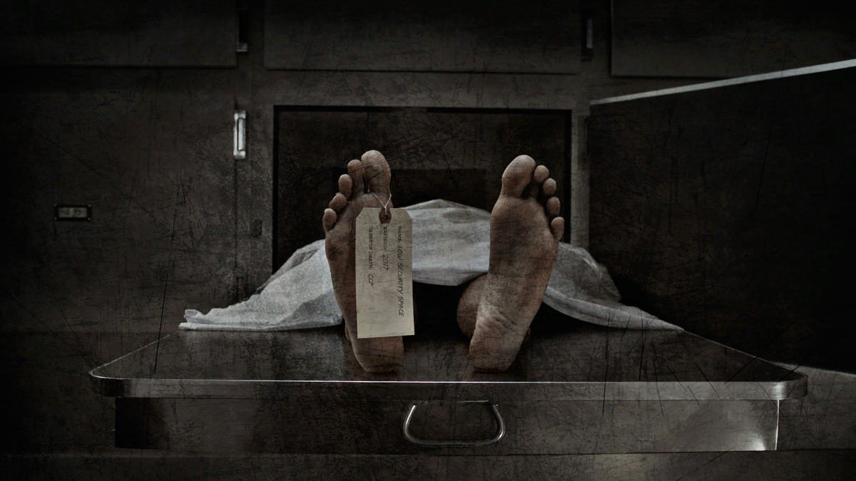 Изображение взято из открытых источников интернета. 