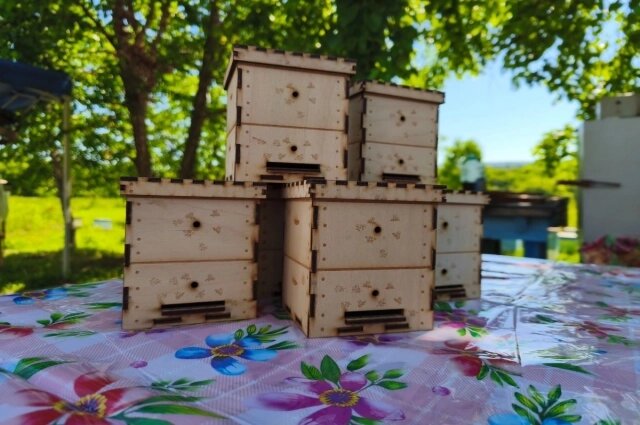    Фото: АиФ/ Фото автора