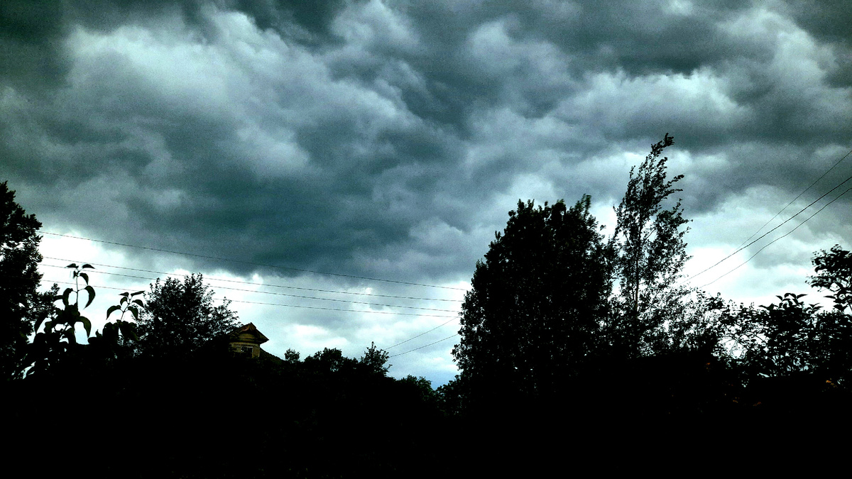 Фото автора.