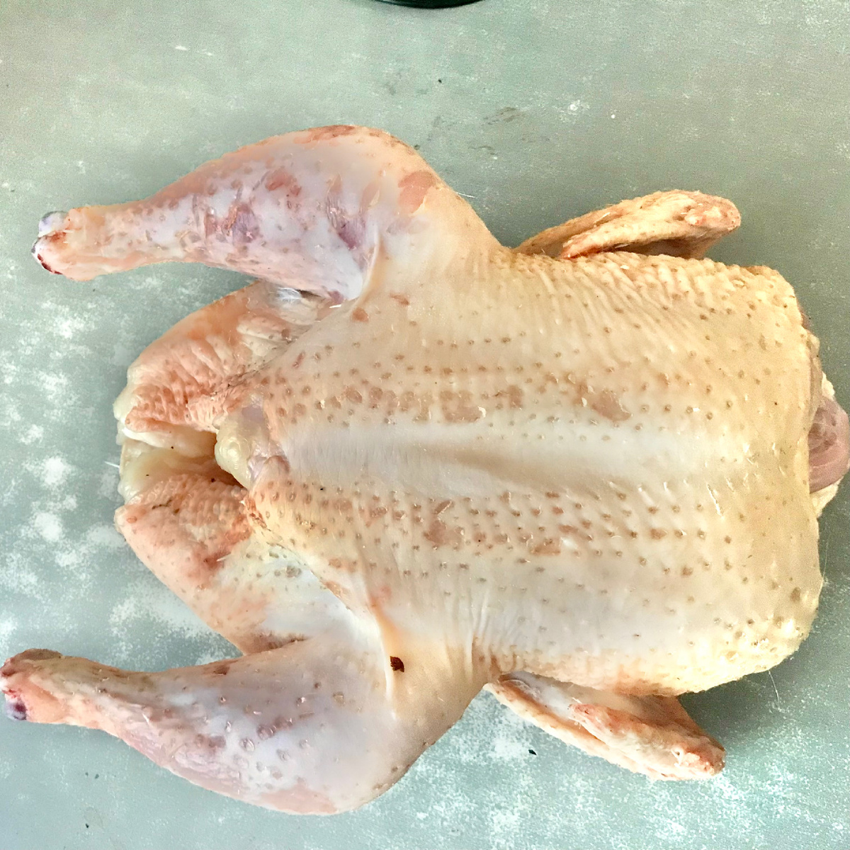 Этому бролю 50 дней и вес у него 3,800 кг,Венгрия отличная крупная птица растет,вся партия такая,новная по весу.