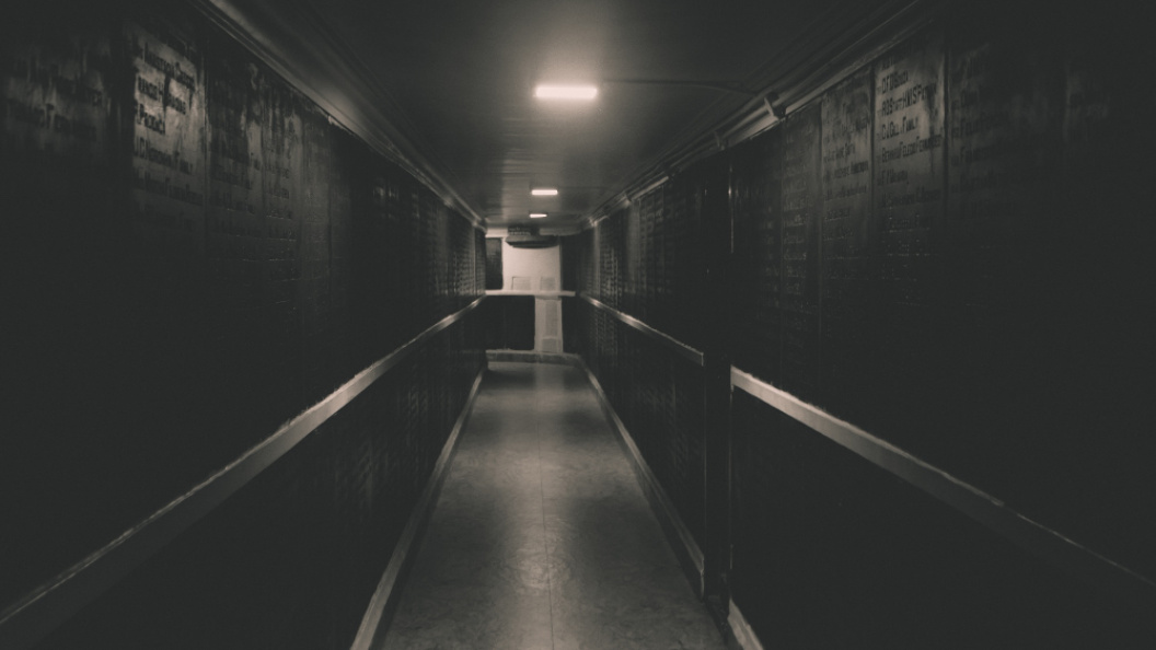    Фото: freepik.com