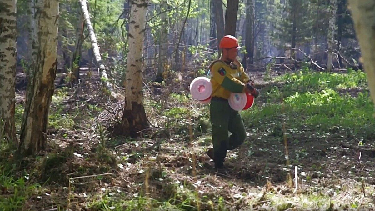    Фото: Федеральная Авиалесоохрана