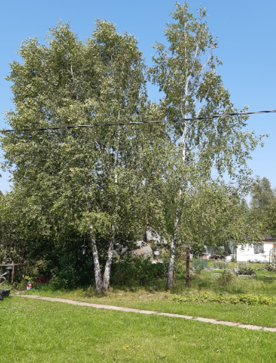 Фото автора.