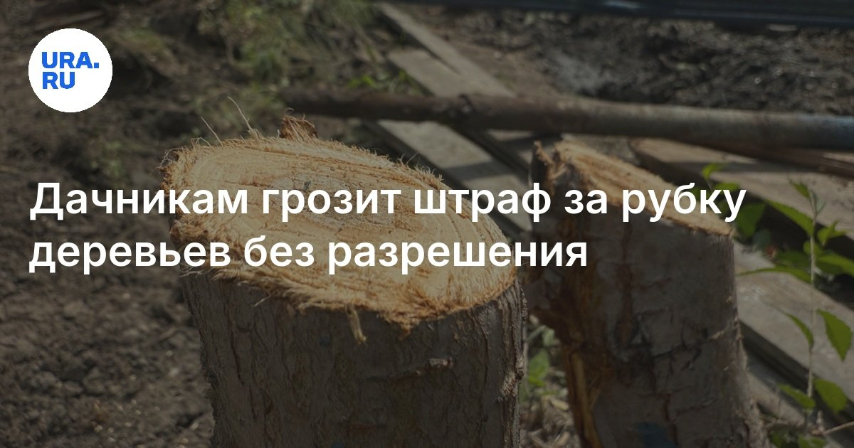 Из открытых источников.