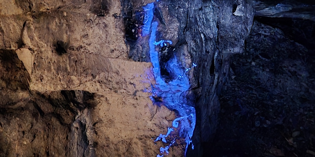 Старицкие каменоломни Тверской области – то место, которое необходимо посещать с гидом.