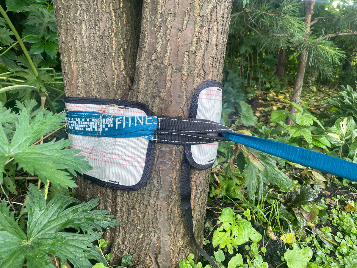 место крепления к дереву