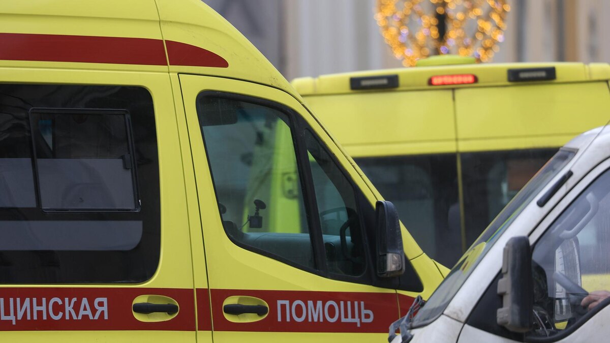    Фото: Shatokhina Natalia/globallookpress.com