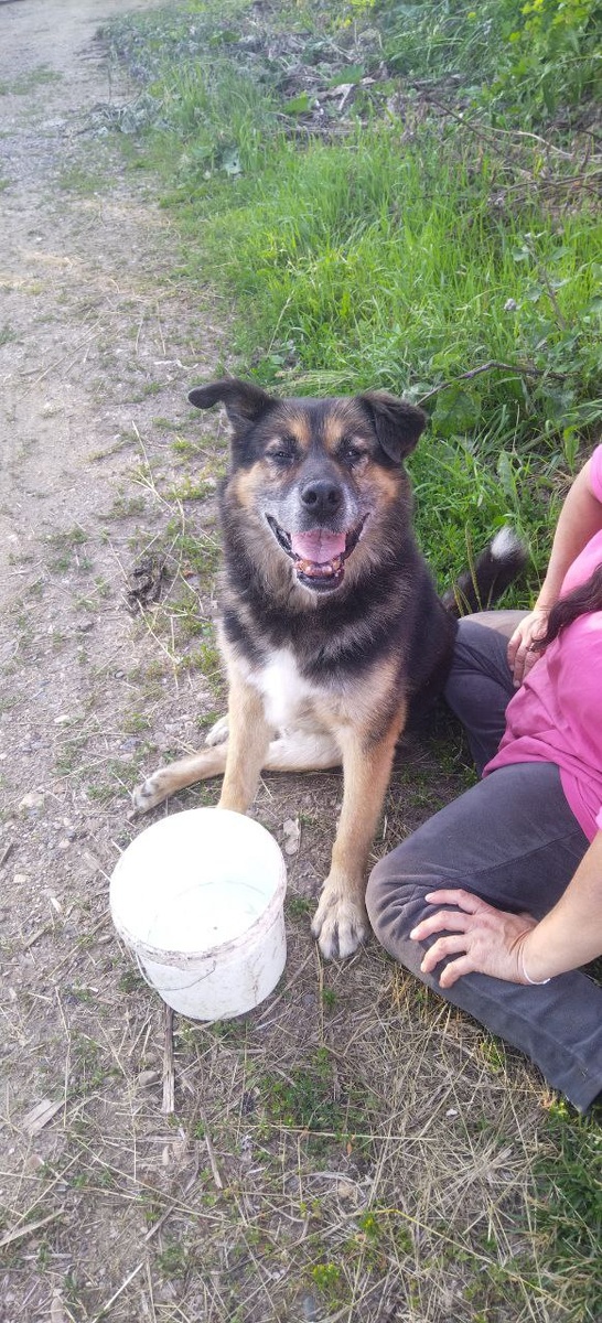 Потормошила его, и он приподнялся