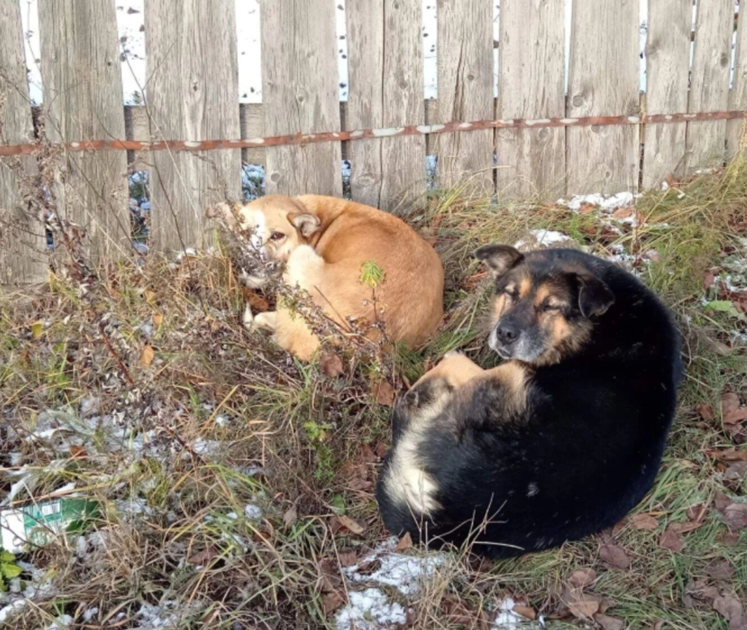 Старое личное фото из соцсетей совместное с подругой.