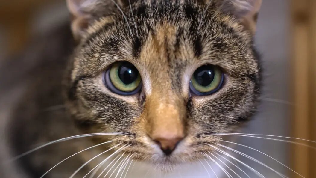    Фото: Belkin Alexey/news.ru/Globallookpress