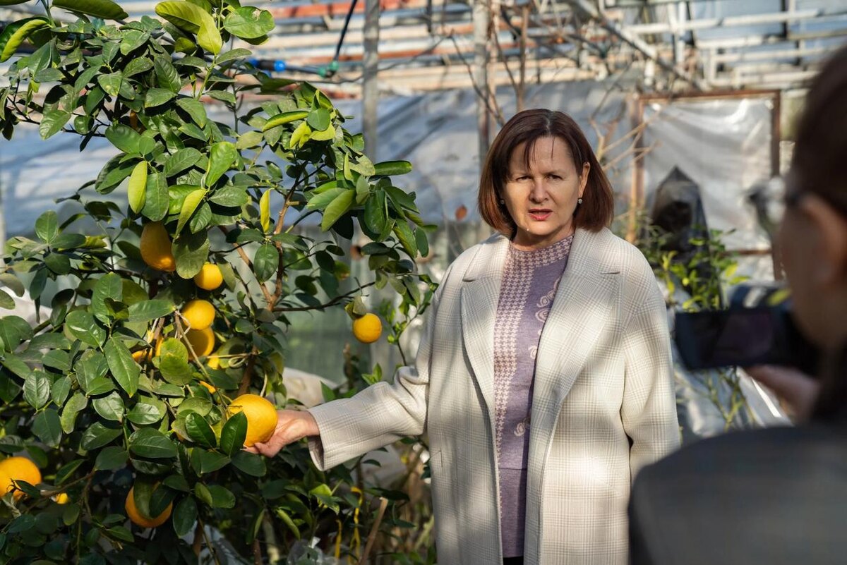 Фото: ФИЦ СНЦ РАН (г. Сочи) / Telegram