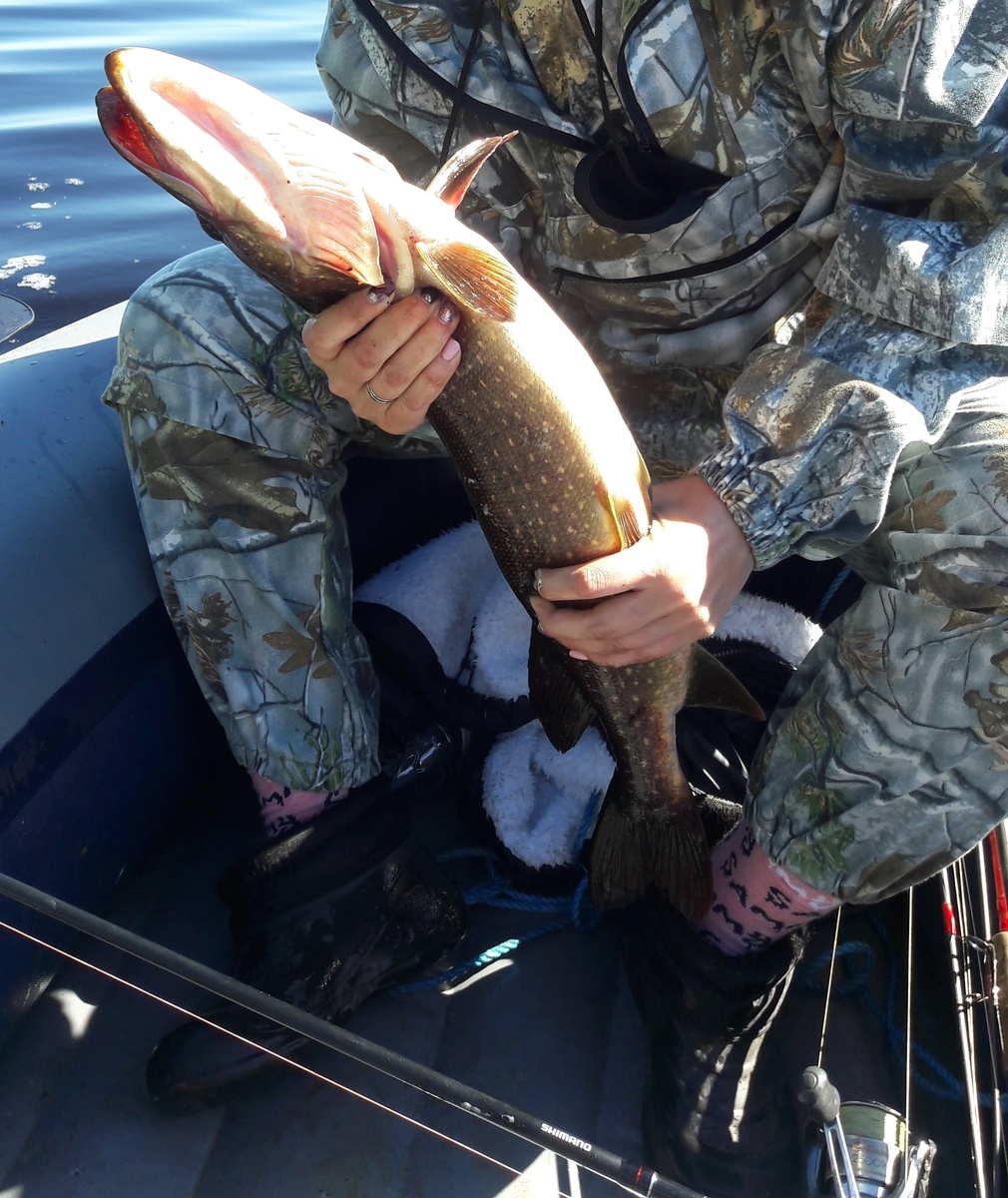 Щучку поймала.