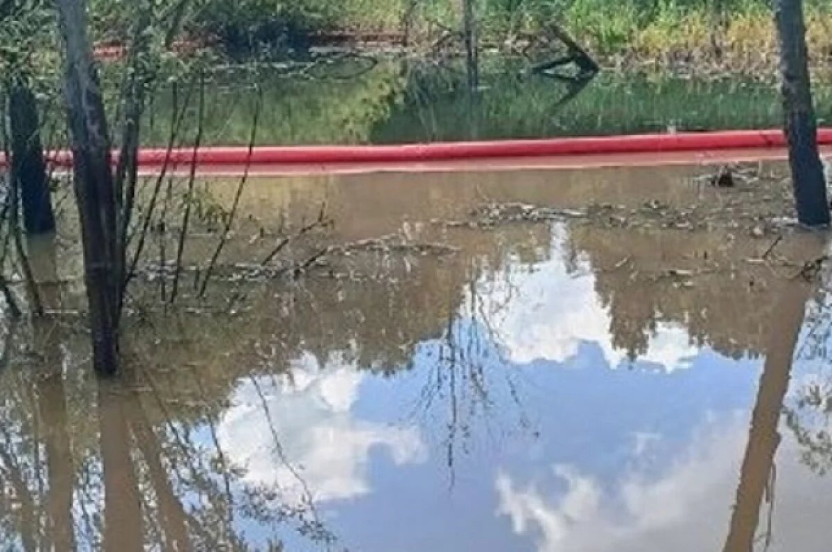    Свыше 30 куб. метров топлива собрали с поверхности реки Старковка в Ижевске