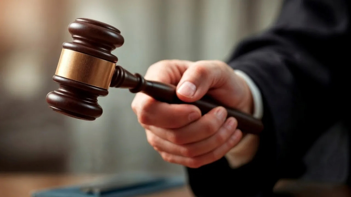 Суд — единственное здравое звено