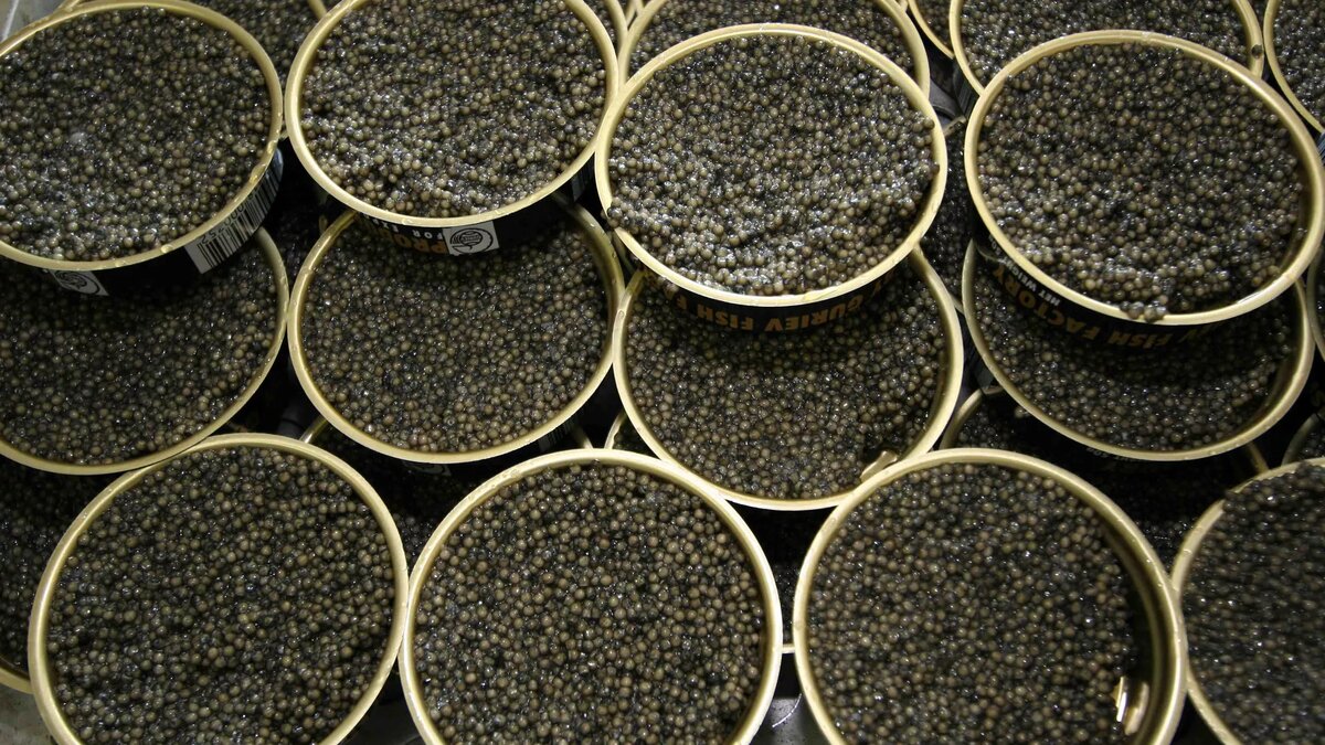 Черная икра