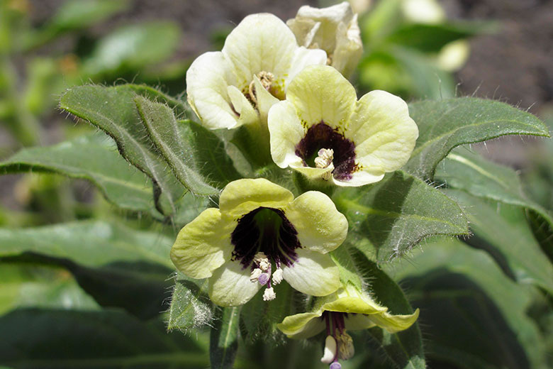    Martin Siepmann/Global Look Press