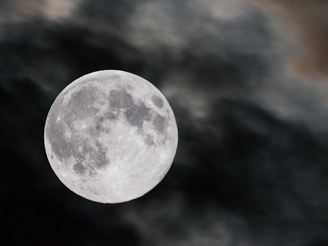    Фото: 123RF/kesu87