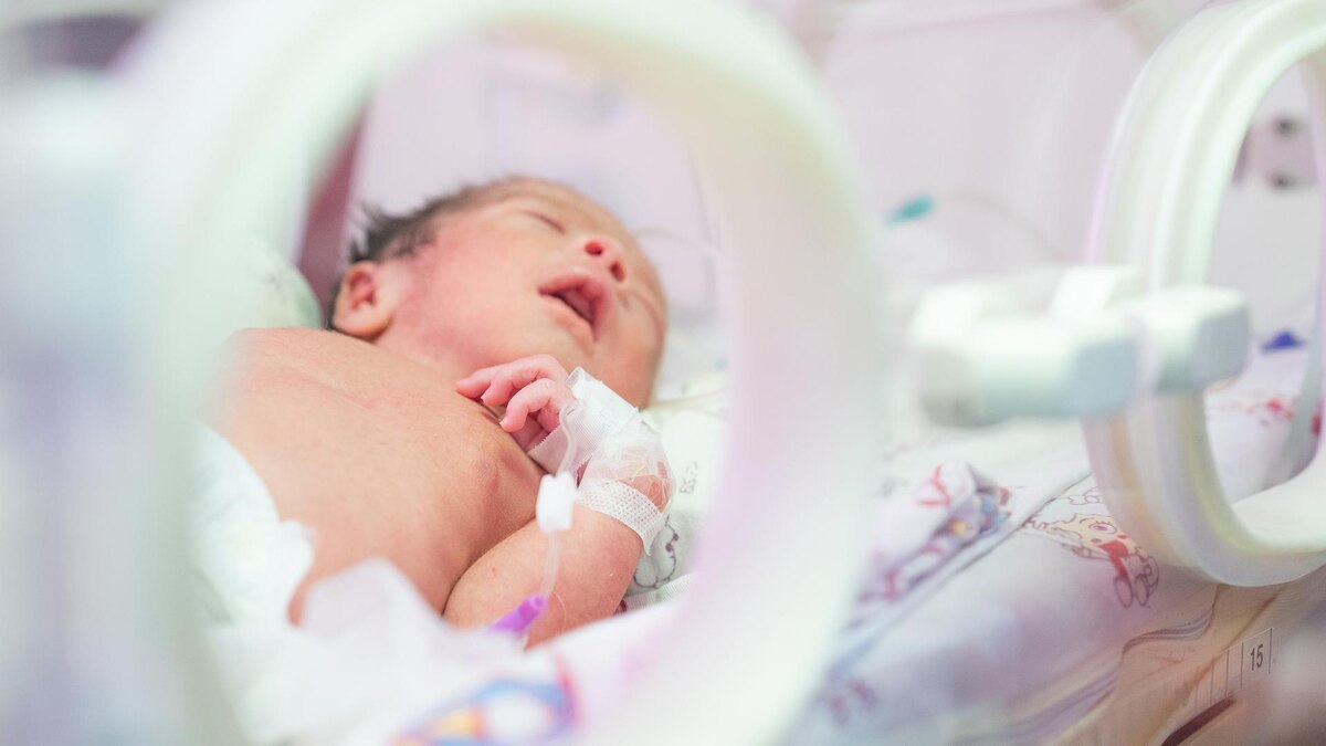    Фото: Tenzin Nyida/globallookpress.com