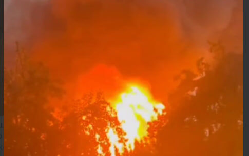    скриншот видео с телеграм-канала "Операция Z: Военкоры Русской Весны"