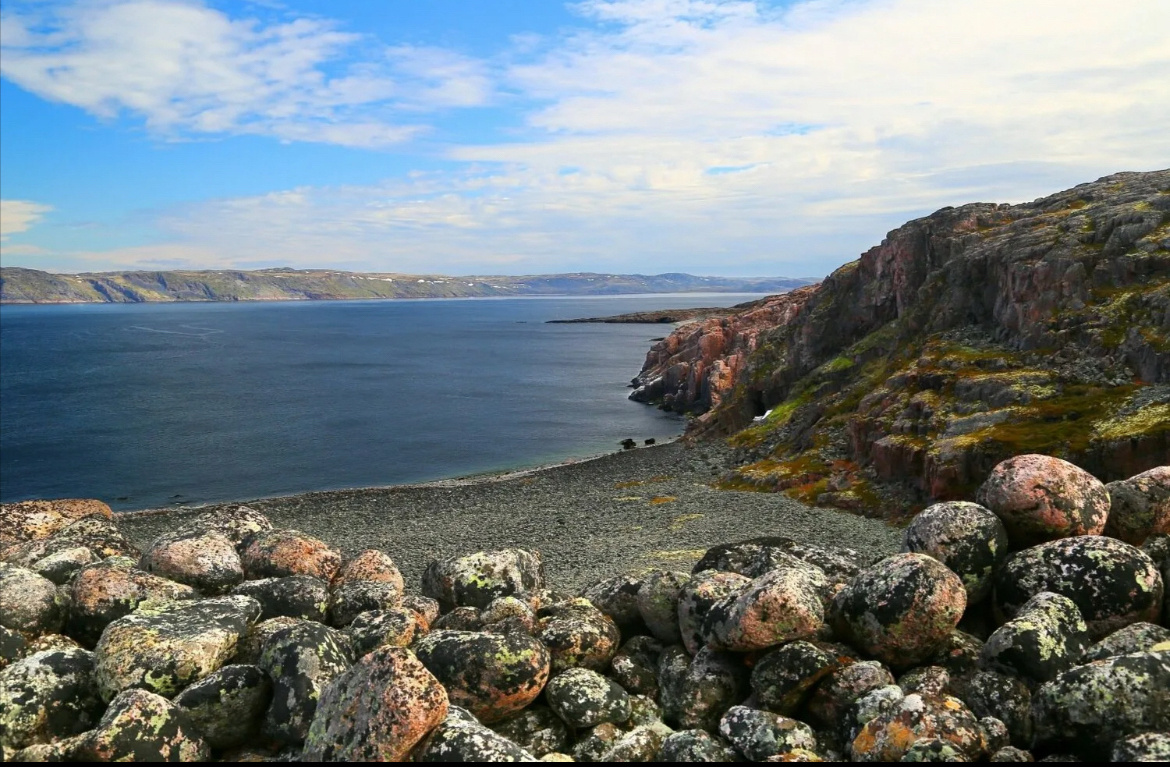 Фото из открытых источников.