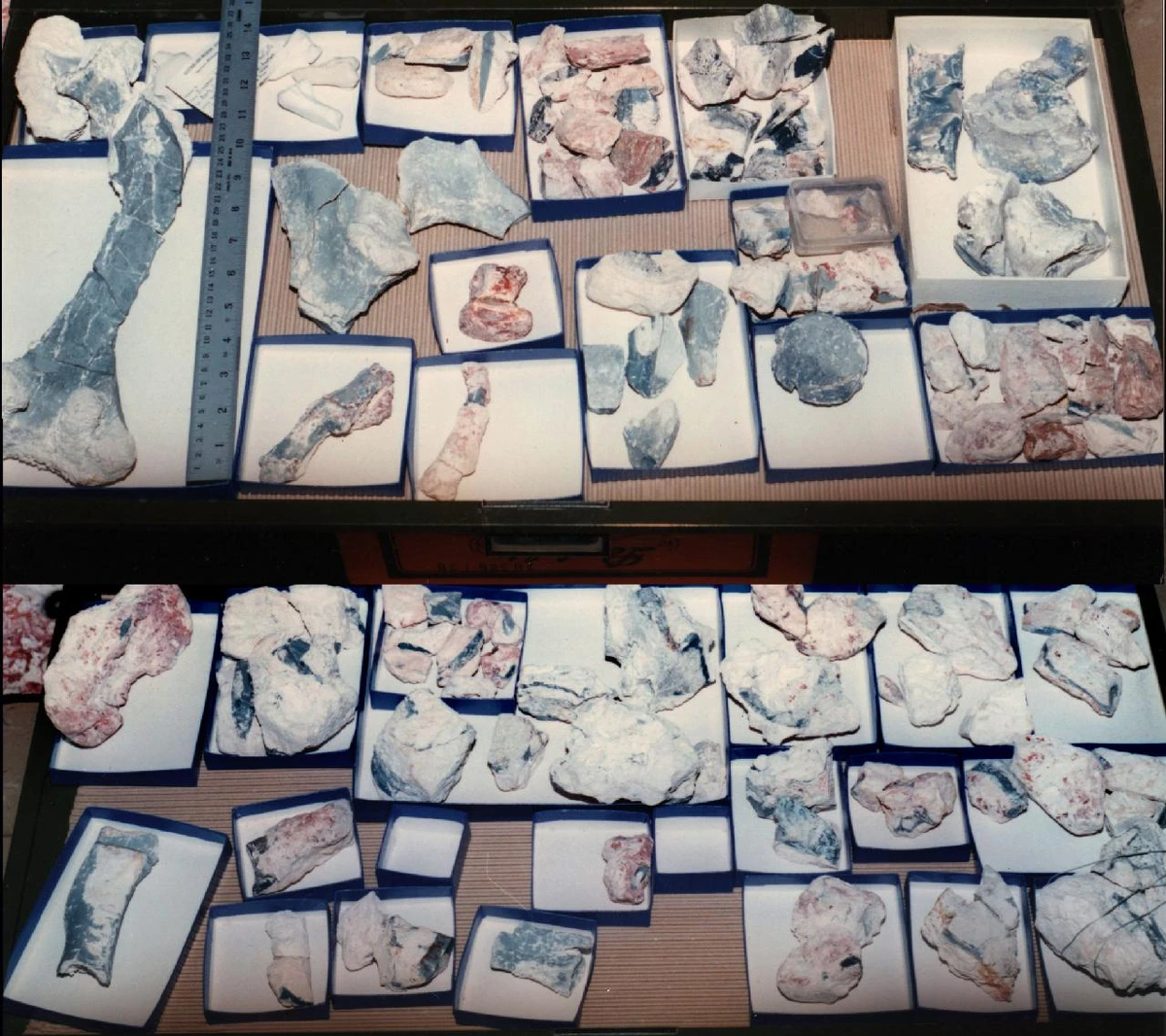 Образцы фостории