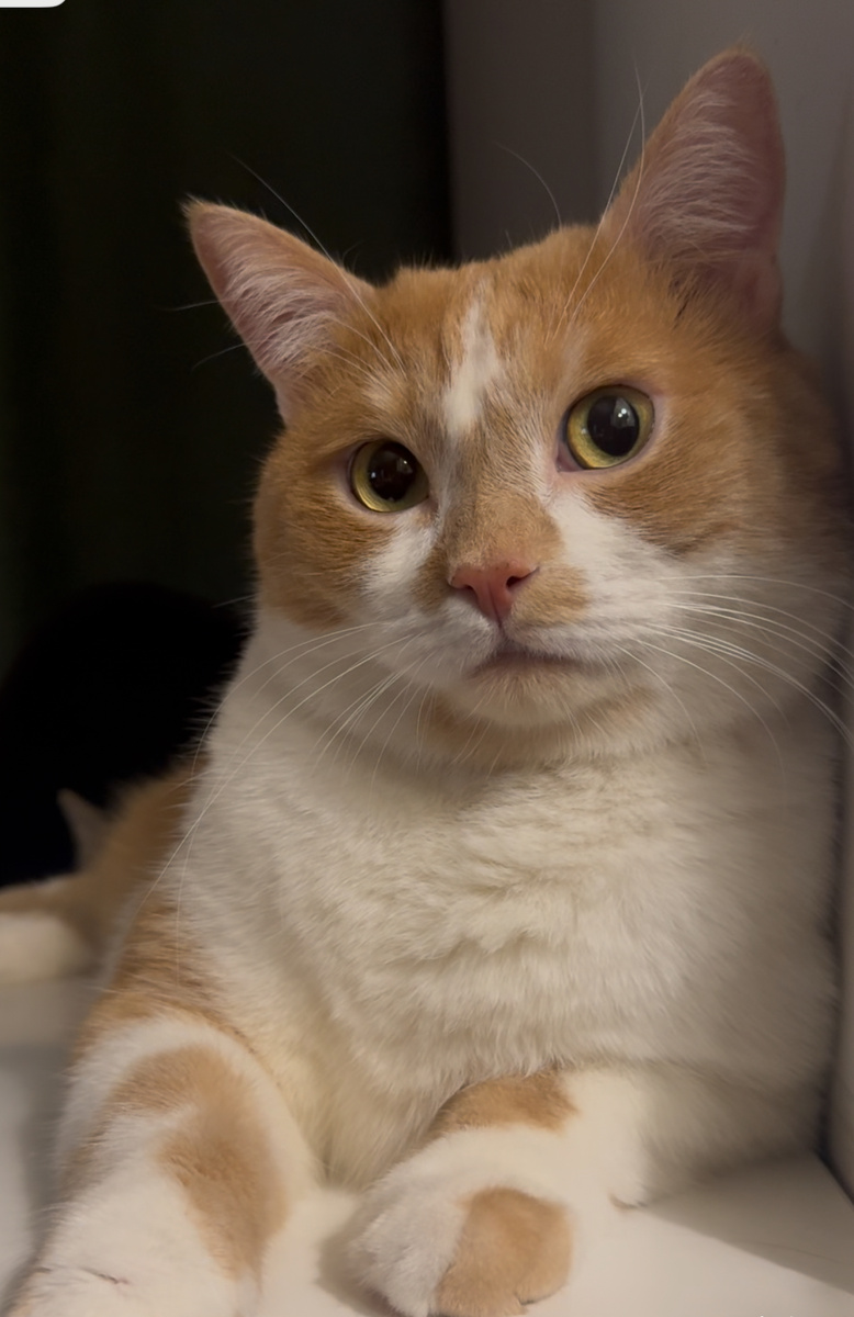 Мамин прекрасный пирожочек.