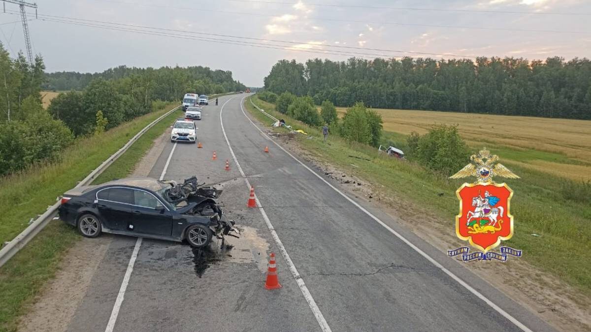    Фото: Telegram / Подмосковная полиция