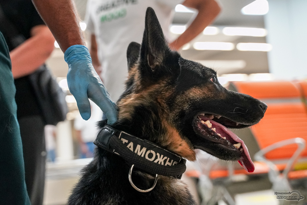    Фото: Лидия Аникина © ИА «Уральский меридиан»