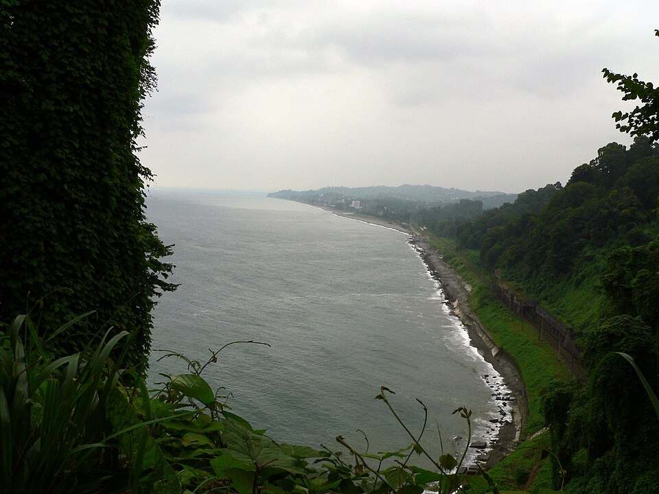 Ботанический сад Батуми. Википедия 