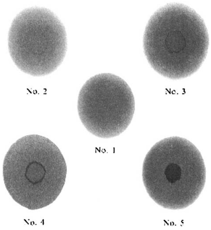 Эталонная карта пятен в соответствии с дополнением ADJD4740, согласно источнику Влияние состава нефтяных остаточных топлив на их коллоидную стабильность // Химия и технология топлив и масел. – № 2. – 2018. – С. 27-31.