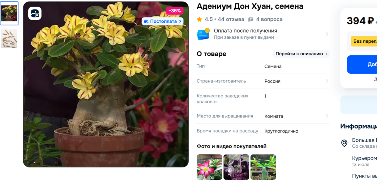 На фото на арабикум цветы непоми от куда. В отзывах видно что распустилось.