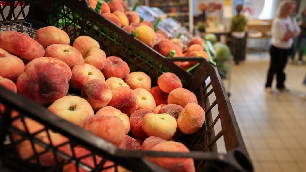    Фото: Алексей Белкин/Globallookpress.