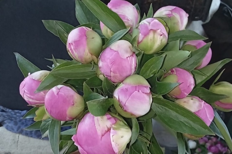 Фото: архив Романа Колесенкова