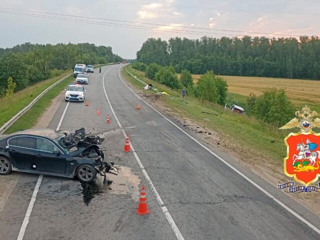    Фото: телеграм-канал "Подмосковная полиция"