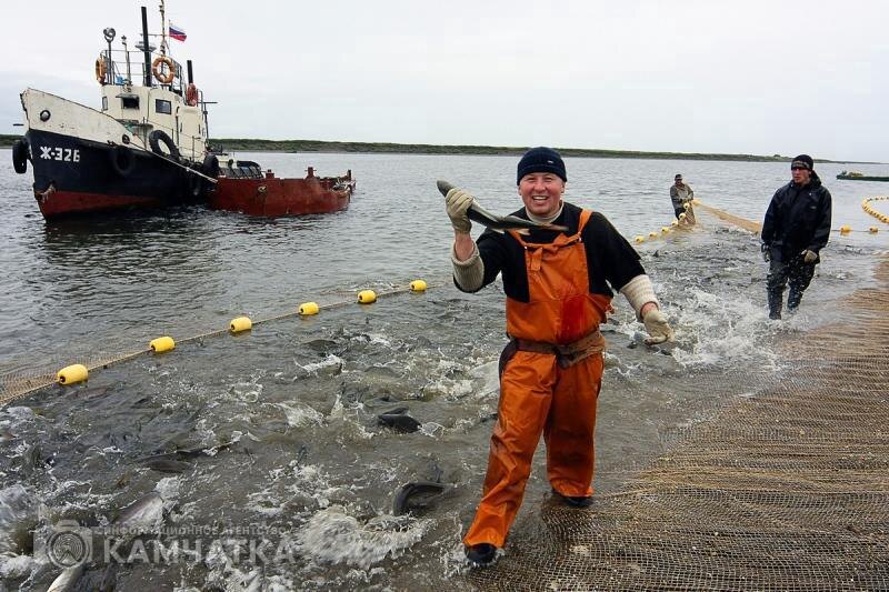 Фото: ИА «Камчатка»