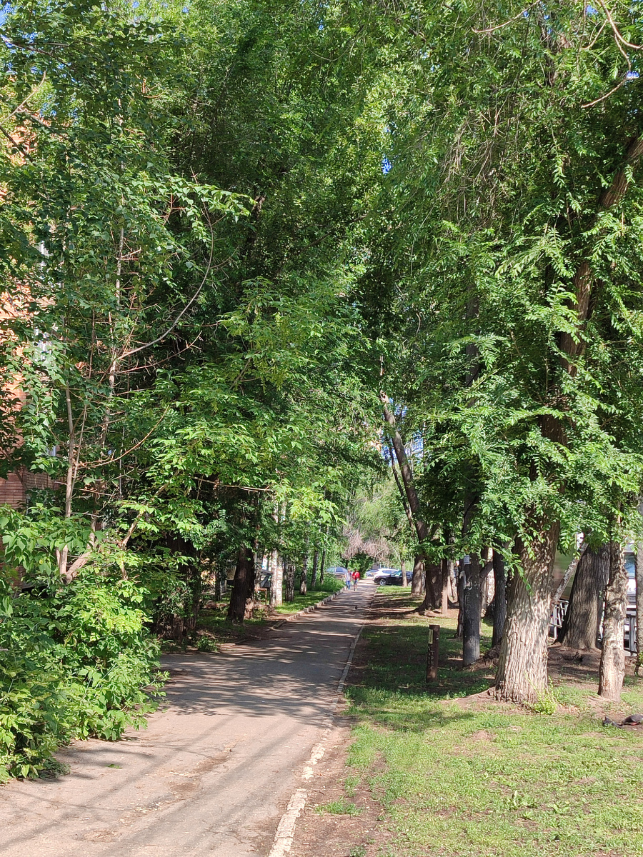 Улица здорового человека