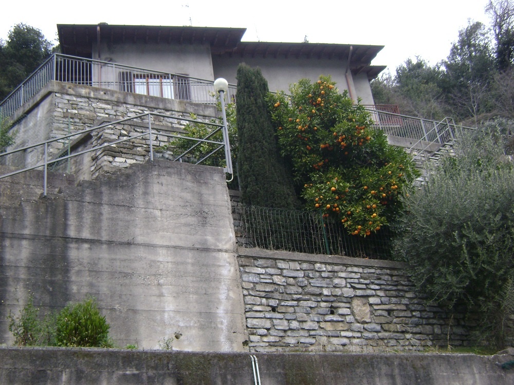 Наш отель. Мандарины февральские с кипарисом в обнимку. 