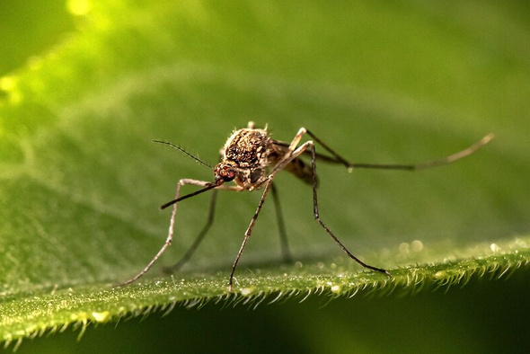     Erik Karits/Unsplash